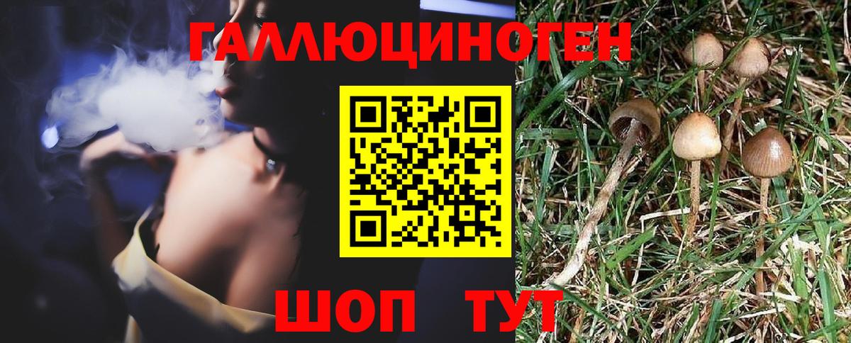 Кинель  Галлюциногенные грибы Magic Shrooms  Вход с VPN 