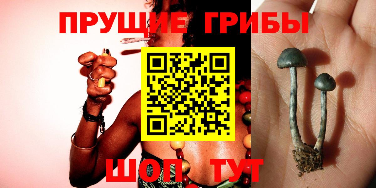 Галлюциногенные грибы прущие грибы Кинель